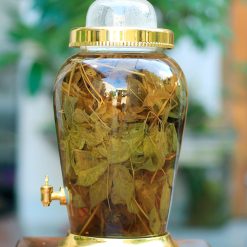 Rượu lá sâm Ngọc linh - Ngâm bình thủy tinh 10 lít