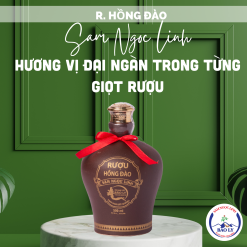 Rượu Hồng Đào Sâm Ngọc Linh - 500ml – Chai gốm