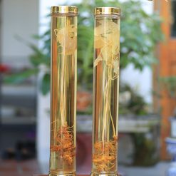 Rượu Sâm ngọc linh bình cây và củ - Bình cao 4.5 lít