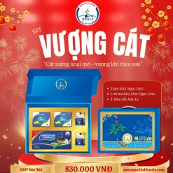 HỘP QUÀ TẾT VƯỢNG CÁT